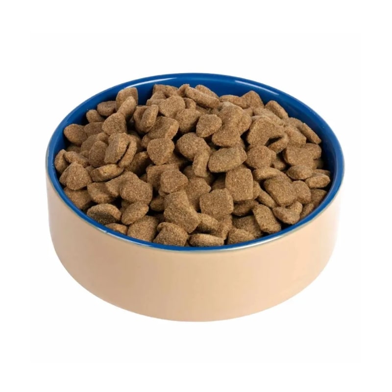 Cat bed - dog food