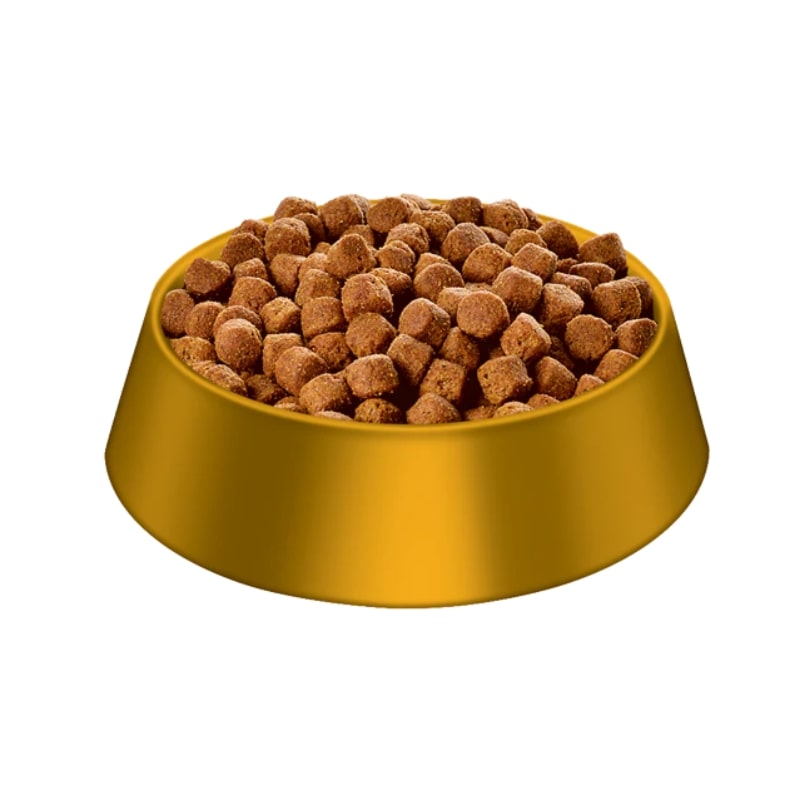 Cat bed - dog food