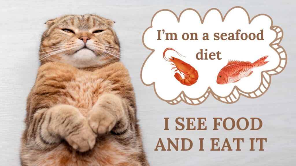 Top 5 Science Diet Cat Foods for Sensitive Stomachs A Complete Guide